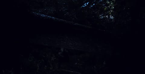 Stranger.Things.S02E02